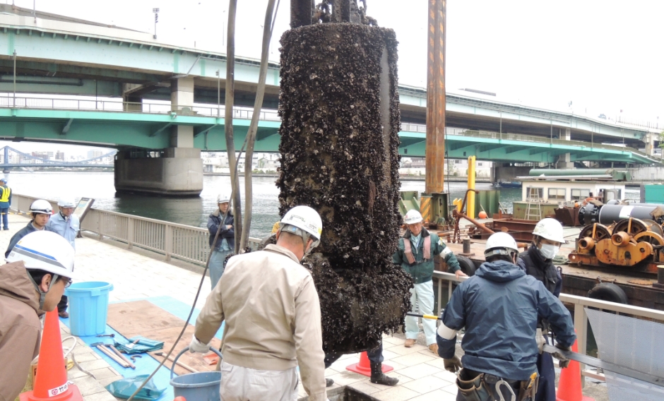 海水を含む隅田川河口に近いため、貝類の侵入対策も求められる